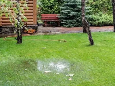 Puddles of water forming on a lush green lawn near a wooden cabin, indicating potential underground water leaks and the need for plumbing inspection.