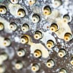 Metallic plumbing surface with oxidized holes and rust, showcasing age and wear. Allore's Plumbing Services LLC.