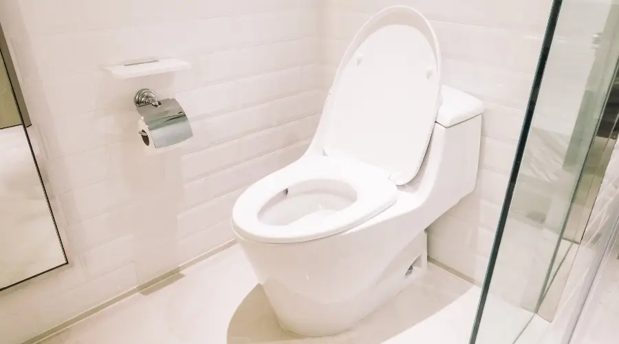 Modern white toilet in bathroom setting, illustrating toilet repair and maintenance tips.