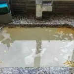 Stagnant, murky water pooling in a residential area, highlighting potential sewer line issues and the need for plumbing services.