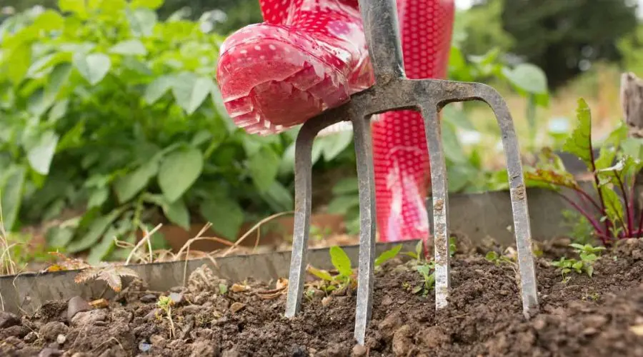 Garden fork in soil with red rubber gardening boots, reflecting B & D Plumbing's property maintenance theme.