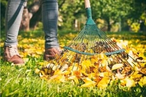 Person Raking Up Leaves in Autumn