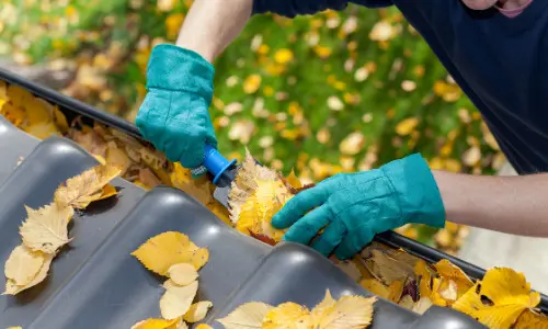Man Cleaning Out Gutter While Wearing Gloves