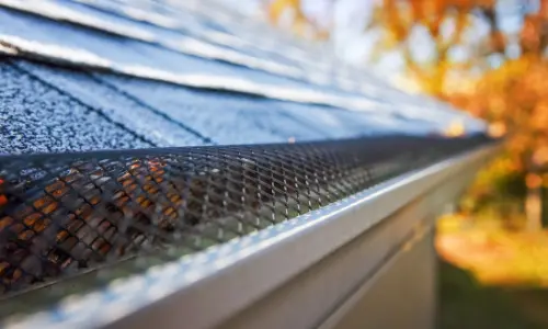 Gutter with Black Mesh Guard