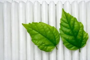 Green leaves resting on white air filters, symbolizing indoor air quality and springtime allergen management.