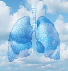 Lungs depicted in a blue and white cloud-like design, symbolizing air quality and respiratory health, relevant to HVAC services and indoor air quality concerns.