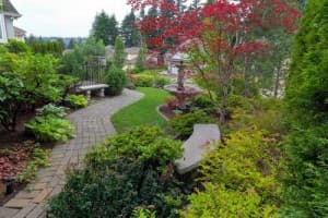Lush garden with a winding pathway, featuring various shrubs and trees, including a red maple, providing shade and enhancing energy efficiency for home cooling.