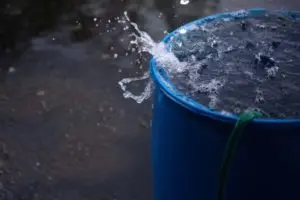 Rain Barrel in Yard