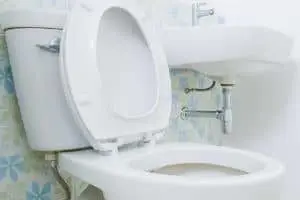 whatarelowflushingtoilets