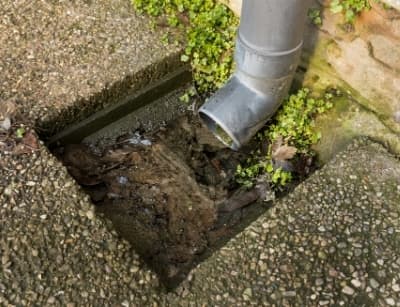 drain 