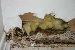 Sherman Oaks Slab Leaks