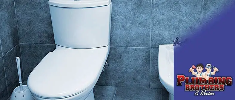 Clogged Toilet Repairs Services in Sherman Oaks,CA