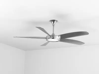 fans