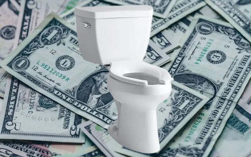 Toilet on dollar bills representing investment in new plumbing fixtures and potential savings from rebates.