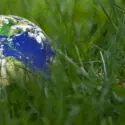 Earth globe resting on green grass, symbolizing environmental awareness and the importance of sustainable practices in air quality maintenance.