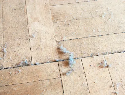 Dust and debris on hardwood floor highlighting common indoor air pollutants affecting HVAC efficiency and indoor air quality.