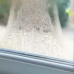 Condensation on a window showing greenery, highlighting HVAC air quality and comfort from Chad's AC Direct.