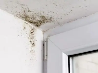 Mold growth in corner of a window, indicating high humidity levels and the need for a whole-house dehumidifier.