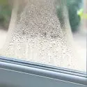 Fogged glass window with water droplets, showing blurred greenery, reflecting indoor air quality focus by Chad's AC Direct.
