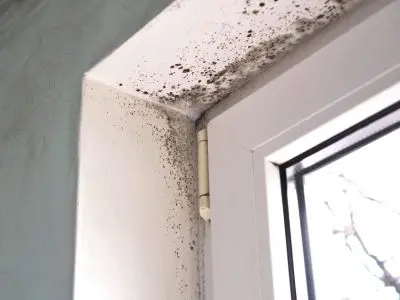 Mold growth in corner of window frame indicating high indoor humidity levels, highlighting the need for a whole-home dehumidifier to improve air quality and prevent structural damage.