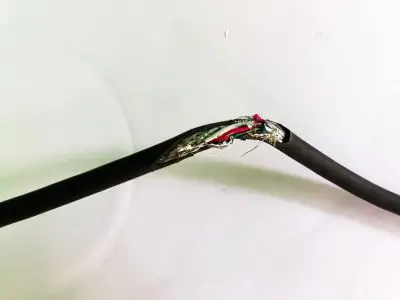 Damaged electrical cord with exposed wiring, highlighting the importance of inspecting decorations for safety hazards before holiday decorating.