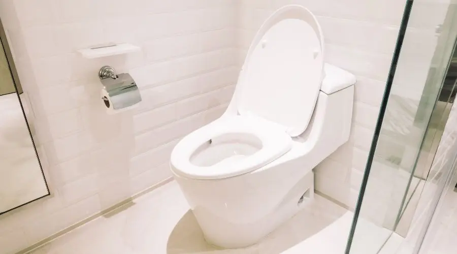 how to prevent and identify toilets issues