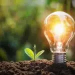 Glowing light bulb next to seedling in soil, highlighting The Meridian Company&rsquo;s innovative home services.