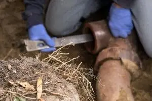 reasons for sewer system backup
