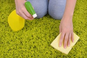 Person cleaning green carpet with spray bottle and sponge, illustrating home maintenance tips for fall.