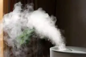 humidifier