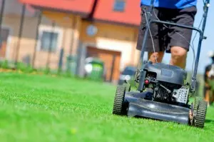 Person mowing a lush green lawn with a push lawn mower in a residential yard, highlighting home maintenance and outdoor care.