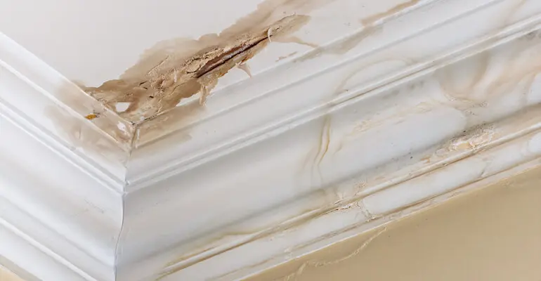 Lansing and East Lansing Water Leak Detection Services - Meridian Heating, Cooling, Plumbing & Electrical