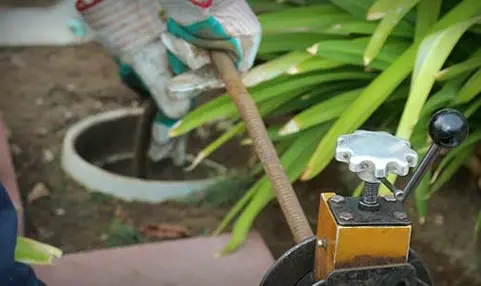 Professional drain cleaning service, technician using plumbing snake to clear clogged drain, surrounded by green foliage, emphasizing home plumbing solutions.