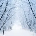 winter