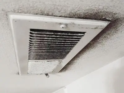 mold