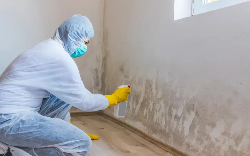 Person in protective gear spraying cleaner on moldy wall, illustrating mold prevention techniques relevant to home maintenance in Kerrville.