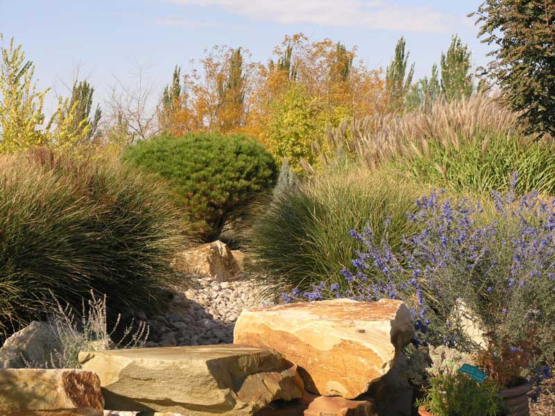 Plant Depth at Riverbed