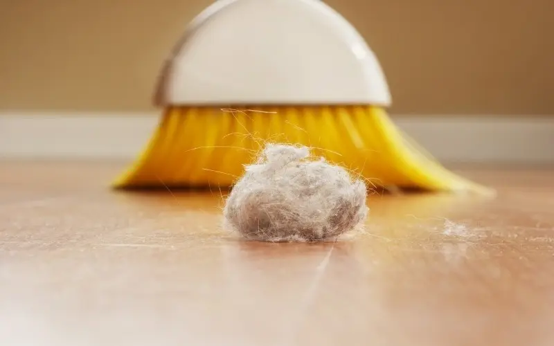 Dust bunny on hardwood floor with broom in background, illustrating indoor dust management for improved air quality during fall.