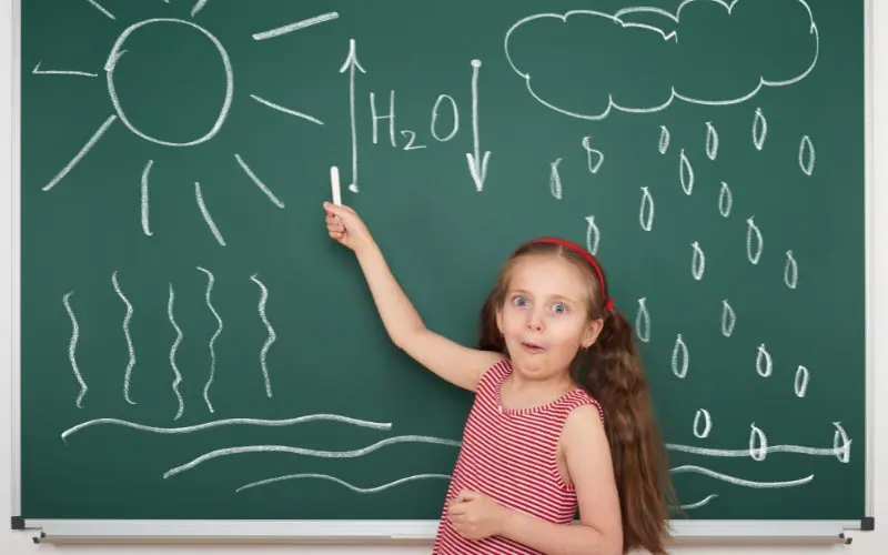 The Water Cycle