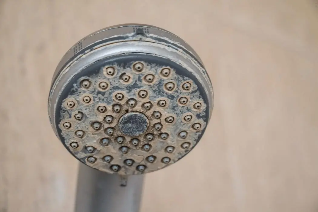Hard water shower head showing mineral buildup, relevant to plumbing and water conditioning issues discussed by The Bosworth Company.