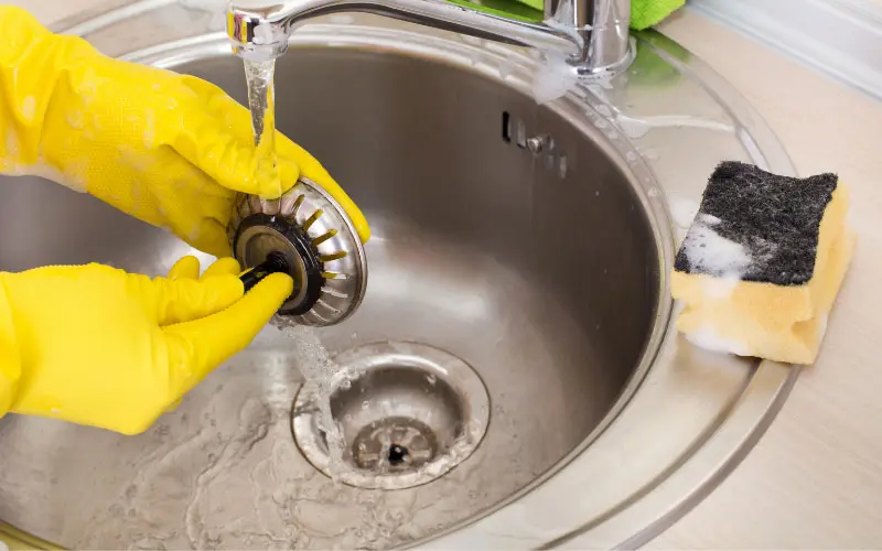 5 Crucial Drain Maintenance Tips