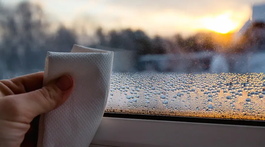 Person wiping condensation from a window, emphasizing humidity control and indoor air quality, with sunlight in the background.
