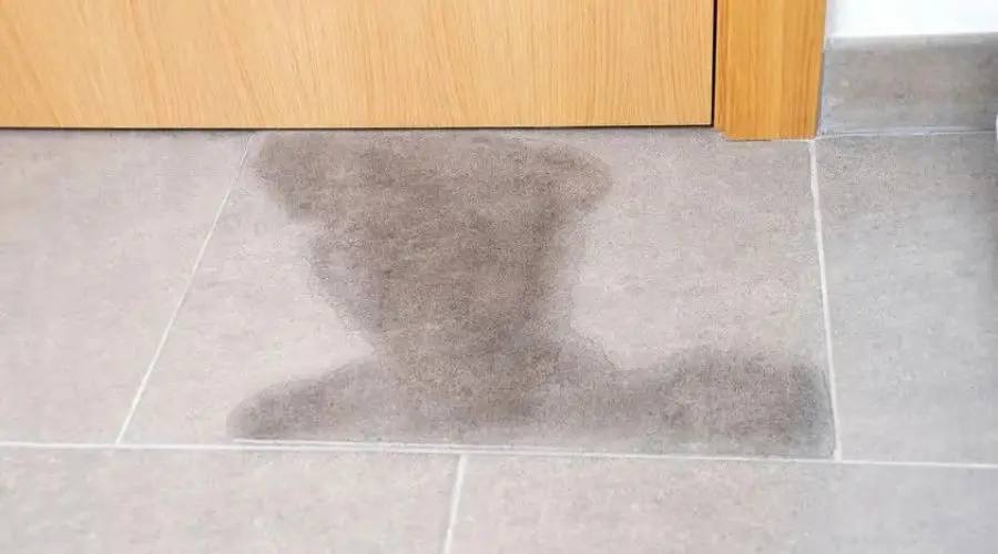 Water stain on tile floor resembling a person, near wooden door, related to plumbing maintenance by Maxwell-White Plumbing.