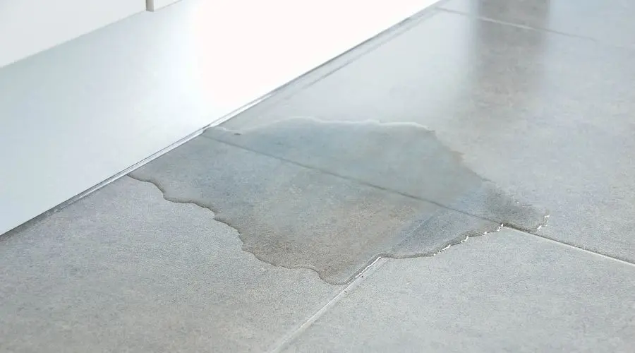 Puddle of water on gray tiled floor in a kitchen, indicating a potential plumbing issue.