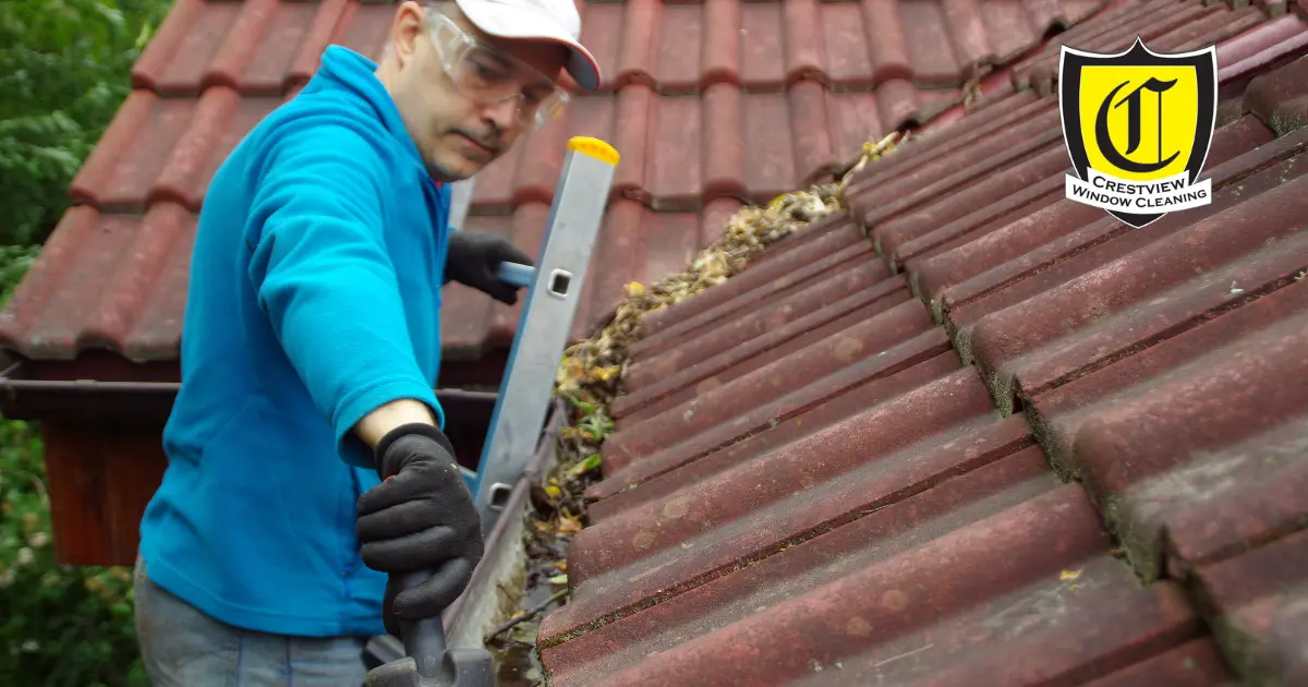 Gutter Cleaning