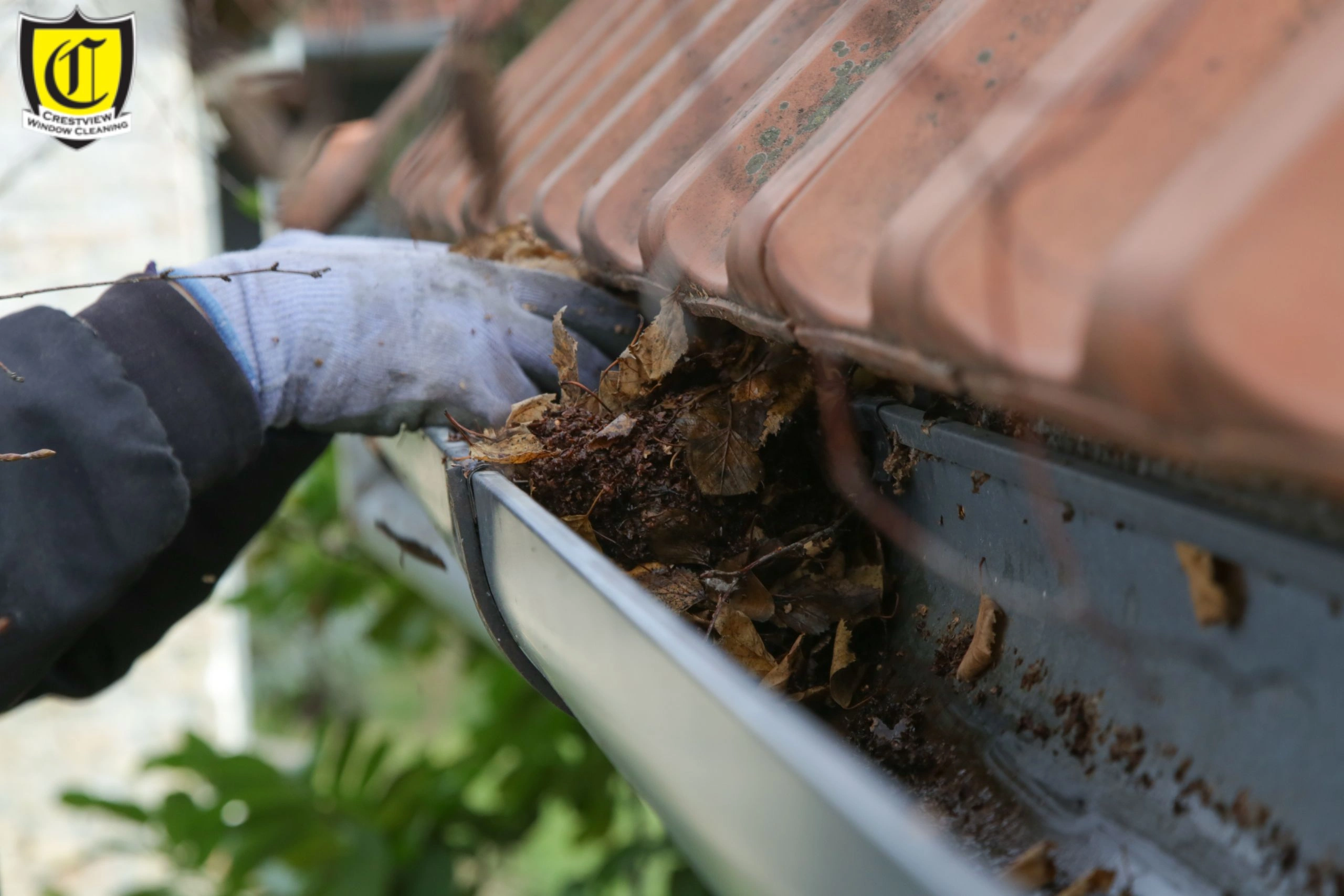 Gutter cleaning service
