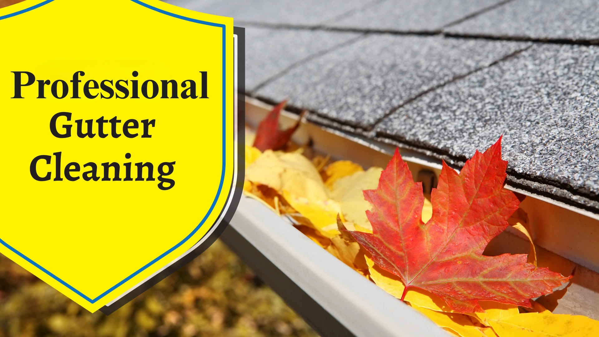 Crestview Professional Gutter Cleaning