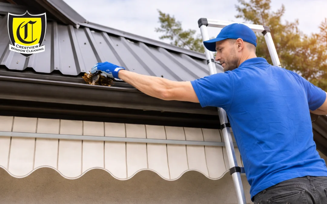 Best Price Gutter Clean Services You Can Trust