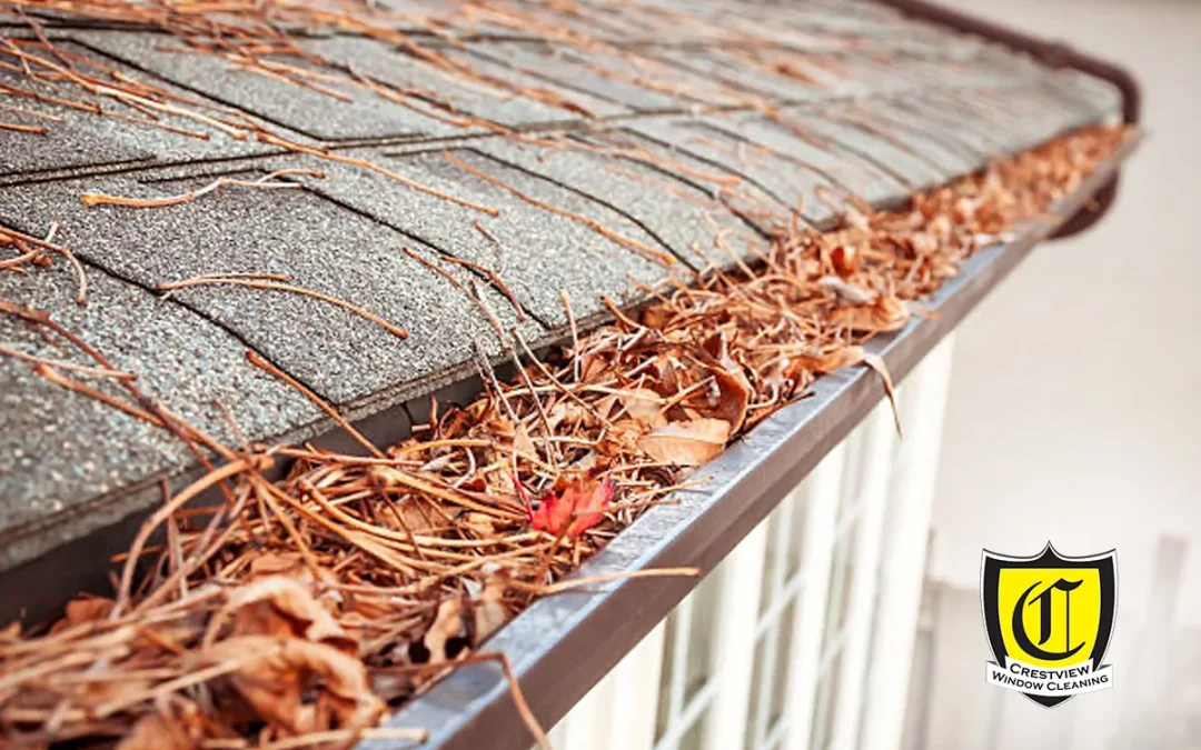 Gutter Cleaning in Portland: Complete Homeowner Guide