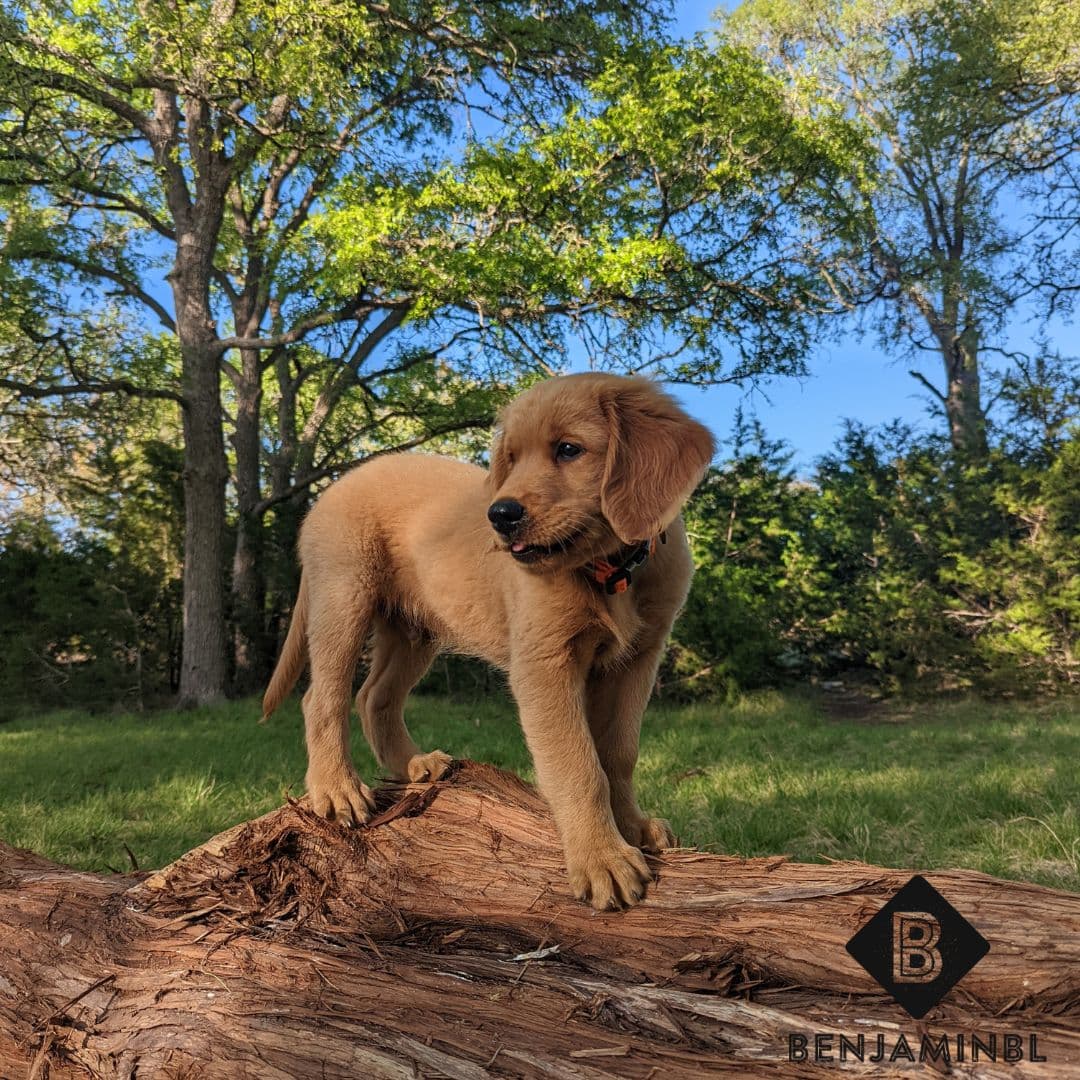 Meet Wirsbo